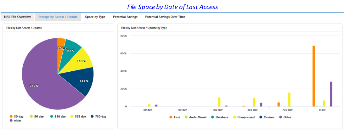 Screenshot of VSI's dashboard showing a bar chart and a pie chart with a title of "File Space by Date of Last Access"